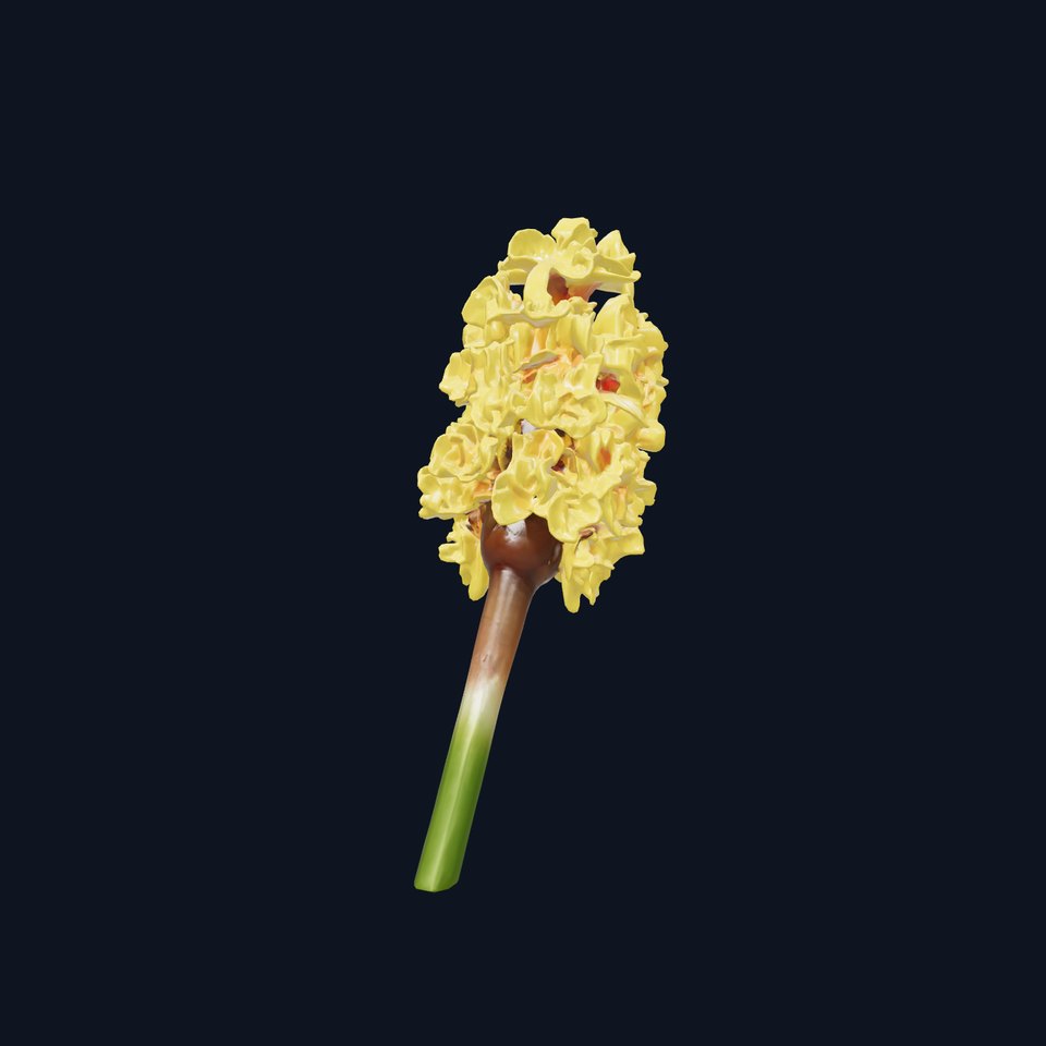Sunny Yellow Hyacinth Model Pack